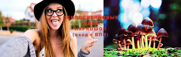 не бодяженный Аркадак