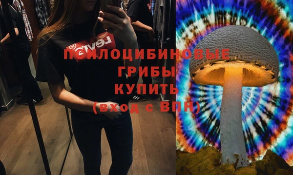 первитин Армянск