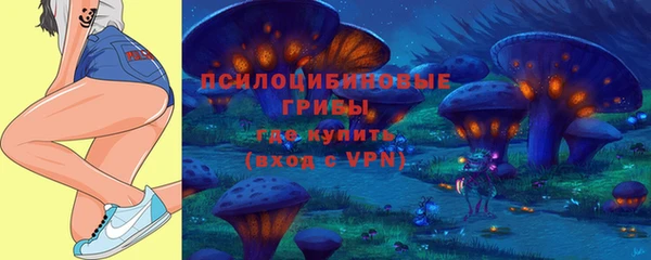не бодяженный Аркадак