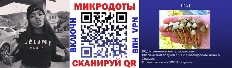ссылка на мегу   Иннополис  Псилоцибиновые грибы Psilocybine cubensis 